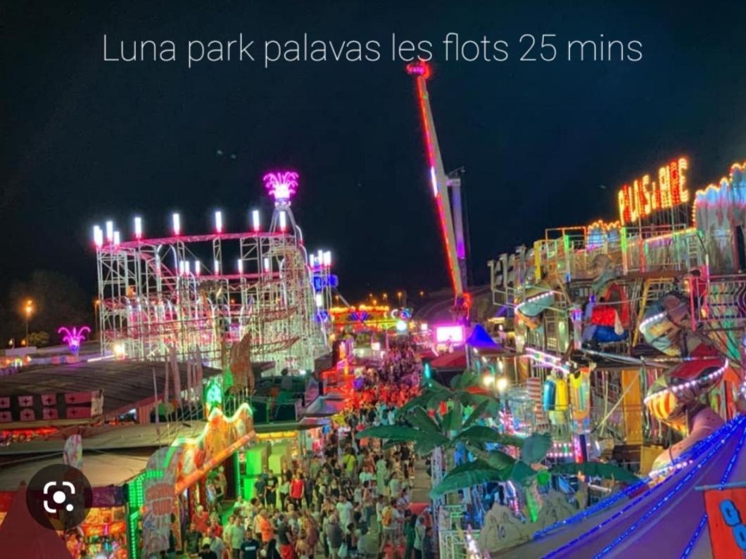 Logement Independant "Les Coquelicots", Terrasse Proche Des Plages Et Montpellier ジュヴィニャック エクステリア 写真