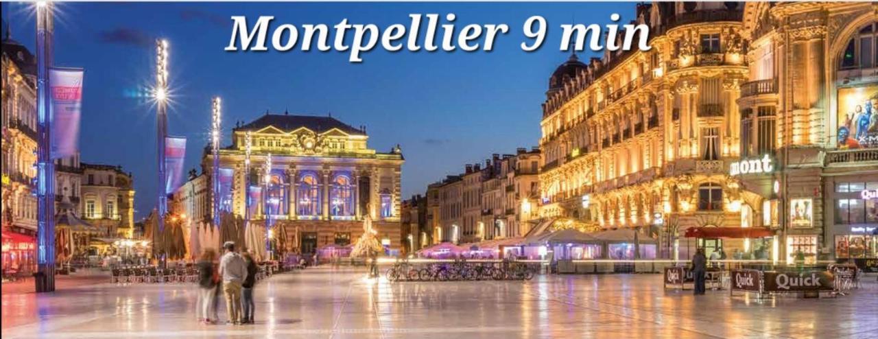 Logement Independant "Les Coquelicots", Terrasse Proche Des Plages Et Montpellier ジュヴィニャック エクステリア 写真